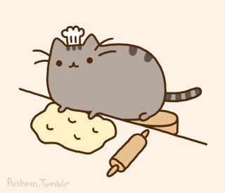pusheen bakercat