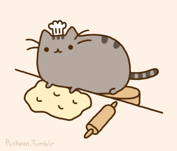 pusheen bakercat
