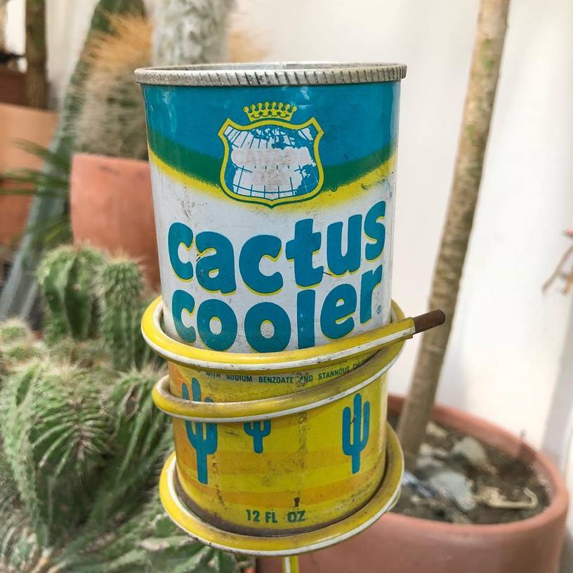 cactus cooler can in front of a cactus